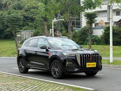 Hongqi HS5 2023 2.0T Qixiang Pro version - ფოტო 3