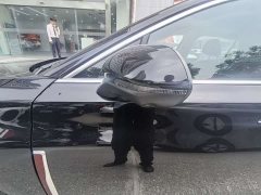 Hongqi H5 2025 2.0T automatic Qichang version - ფოტო 11