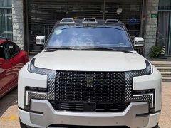 Yangwang U8 2023 Luxury Edition - ფოტო 2
