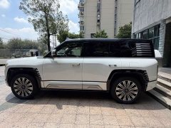 Yangwang U8 2023 Luxury Edition - ფოტო 6