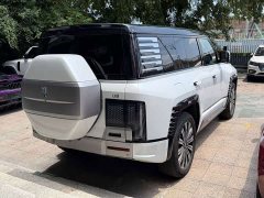 Yangwang U8 2023 Luxury Edition - ფოტო 7