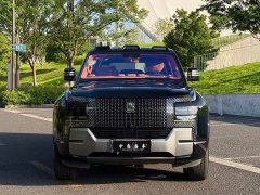 Yangwang U8 2023 Luxury Edition - ფოტო 2
