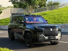 Yangwang U8 2023 Luxury Edition - ფოტო 3