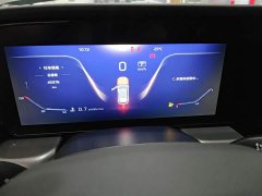 FAW Red Flag HS5 2.0T Flagship Enjoy Pro - ფოტო 12