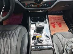 Hongqi HS5 2022 facelift 2.0T Zhilian Qixiang four-wheel drive version - ფოტო 14