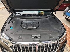 Hongqi HS5 2022 facelift 2.0T Zhilian Qixiang four-wheel drive version - ფოტო 20