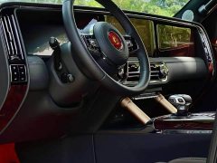 Hongqi Golden Sunflower Guoyao 2022 4.0T Monarch Flagship Edition 4 seats - ფოტო 5