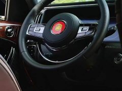 Hongqi Golden Sunflower Guoyao 2022 4.0T Monarch Flagship Edition 4 seats - ფოტო 9