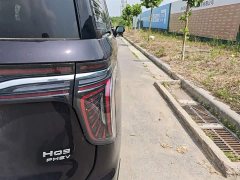 Hongqi HQ9 PHEV 2024 2.0T AWD Business Edition - ფოტო 8
