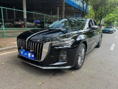 Hongqi H5 2023 2.0T Automatic Zhilianqichang Edition - ფოტო 1