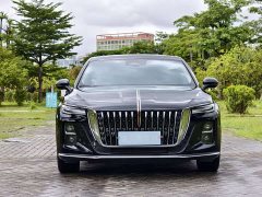 Hongqi H5 2024 2.0T Automatic Zhilianqichang Edition - ფოტო 2