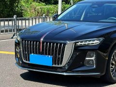 Hongqi H5 2025 2.0T automatic Qichang version - ფოტო 2