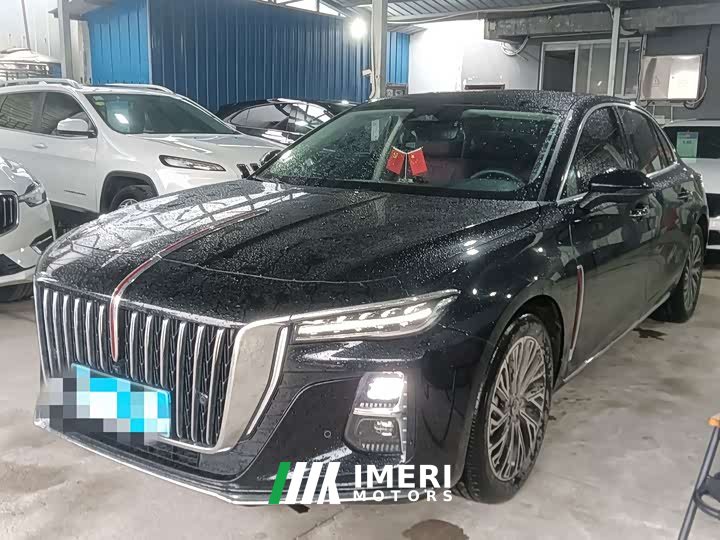 Hongqi H5 2024 2.0T Automatic Zhilianqichang Edition