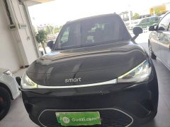 smart elf #1 2022 Pulse exciting version - ფოტო 3