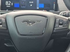 Ford Electric Horse 2021 Rear-wheel drive version (standard range) - ფოტო 13