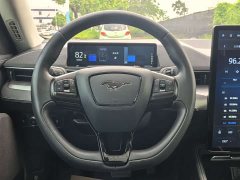 Ford Electric Horse 2021 Rear-wheel drive version (standard range) - ფოტო 14