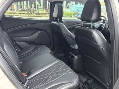 Ford Electric Horse 2021 Rear-wheel drive version (standard range) - ფოტო 15