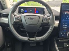 Ford Electric Horse 2021 Rear-wheel drive version (standard range) - ფოტო 18