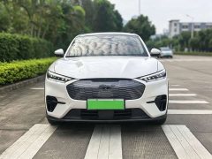 Ford Electric Horse 2021 Rear-wheel drive version (standard range) - ფოტო 2
