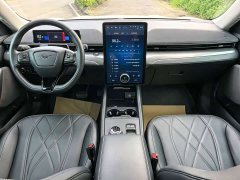 Ford Electric Horse 2021 Rear-wheel drive version (standard range) - ფოტო 4