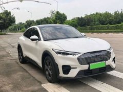 Ford Electric Horse 2021 Rear-wheel drive version (standard range) - ფოტო 5