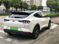 Ford Electric Horse 2021 Rear-wheel drive version (standard range) - ფოტო 6
