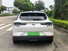 Ford Electric Horse 2021 Rear-wheel drive version (standard range) - ფოტო 7