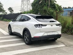 Ford Electric Horse 2021 Rear-wheel drive version (standard range) - ფოტო 8