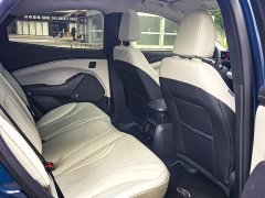 Ford Electric Horse 2021 Borderless RWD Deluxe Edition (Long Range) - ფოტო 10
