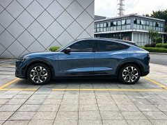 Ford Electric Horse 2021 Borderless RWD Deluxe Edition (Long Range) - ფოტო 14