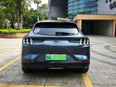 Ford Electric Horse 2021 Borderless RWD Deluxe Edition (Long Range) - ფოტო 16