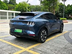 Ford Electric Horse 2021 Borderless RWD Deluxe Edition (Long Range) - ფოტო 17