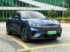 Ford Electric Horse 2021 Borderless RWD Deluxe Edition (Long Range) - ფოტო 2
