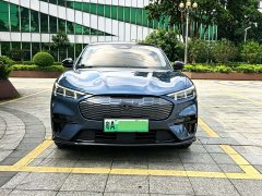 Ford Electric Horse 2021 Borderless RWD Deluxe Edition (Long Range) - ფოტო 3
