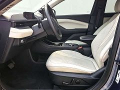 Ford Electric Horse 2021 Borderless RWD Deluxe Edition (Long Range) - ფოტო 4