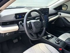 Ford Electric Horse 2021 Borderless RWD Deluxe Edition (Long Range) - ფოტო 5