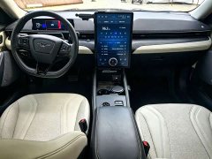 Ford Electric Horse 2021 Borderless RWD Deluxe Edition (Long Range) - ფოტო 6