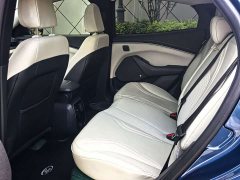 Ford Electric Horse 2021 Borderless RWD Deluxe Edition (Long Range) - ფოტო 7