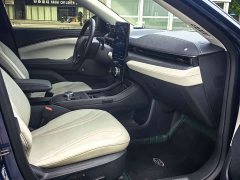 Ford Electric Horse 2021 Borderless RWD Deluxe Edition (Long Range) - ფოტო 9