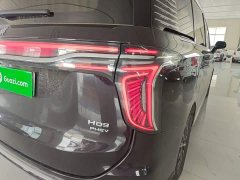 Hongqi HQ9 PHEV 2024 2.0T AWD Business Edition - ფოტო 8