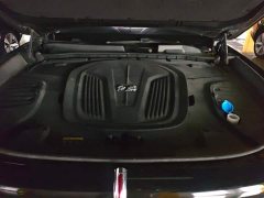 Hongqi E-HS9 2021 Qixian Edition 6-Seater - photo 10