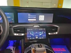 Hongqi E-HS9 2021 Qixian Edition 6-Seater - photo 13