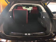 Hongqi E-HS9 2021 Qixian Edition 6-Seater - photo 4