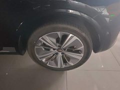 Hongqi E-HS9 2021 Qixian Edition 6-Seater - photo 6