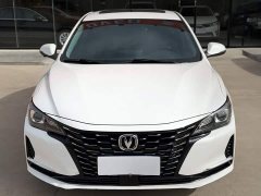 Ruicheng CC 2022 Blue Whale Edition 1.5T DCT Premium Type - ფოტო 2