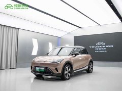 smart elf #1 2026 smart upgraded version - ფოტო 1