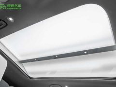smart elf #1 2026 smart upgraded version - ფოტო 19