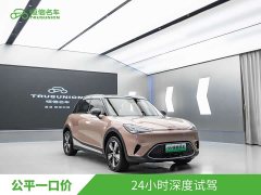 smart elf #1 2026 smart upgraded version - ფოტო 3
