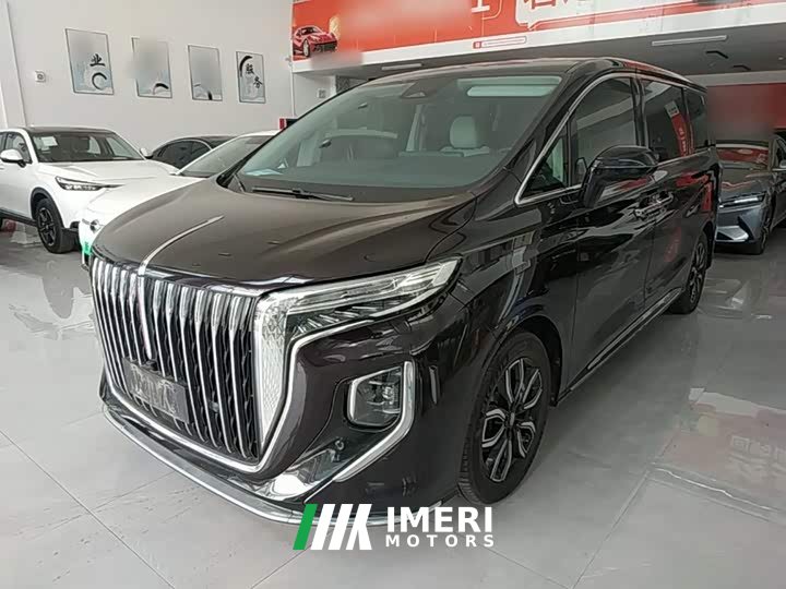 Hongqi HQ9 2023 2.0T Zhilian Qiling Edition