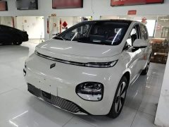 Baojun Yunduo 2023 460 Max - ფოტო 2